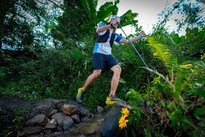 BIB: 1213
                            <button type="button" onclick="openModal(15974901)" class="btn btn-primary btn-sm float-right btn-popup" data-toggle="modal" data-target=".modal-high-quality">
                        <i class="fas fa-shopping-cart"></i> Add to Cart
                    </button>
                                            <button type="button" onclick="isThisMe(15974901, true)" class="btn btn-success btn-sm float-right btn-popup btn-isme hidden" data-toggle="tooltip" data-placement="bottom" title="นี่คือรูปของคุณใช่ไหม คลิกที่นี่เพื่อเอาเข้าอัลบั้ม">
                        <i class="fas fa-plus"></i> Add to album
                    </button>
                    <button type="button" onclick="isThisMe(15974901, false)" class="btn btn-warning btn-sm float-right btn-popup btn-isnotme hidden">
                        <i class="fas fa-ban"></i> Remove from album
                    </button>